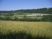 Blick auf den Oschenberg